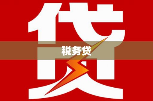松溪税务贷