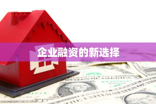 松溪企业融资的新选择