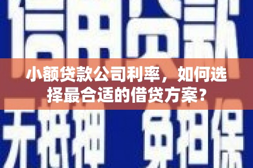 松溪小额贷款公司利率，如何选择最合适的借贷方案？