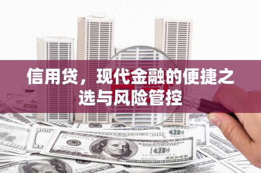 松溪信用贷，现代金融的便捷之选与风险管控