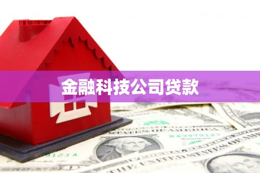 松溪金融科技公司贷款