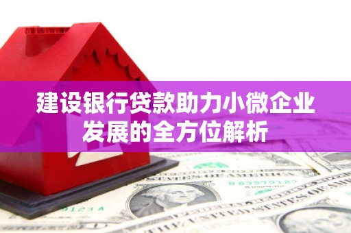 松溪建设银行贷款助力小微企业发展的全方位解析