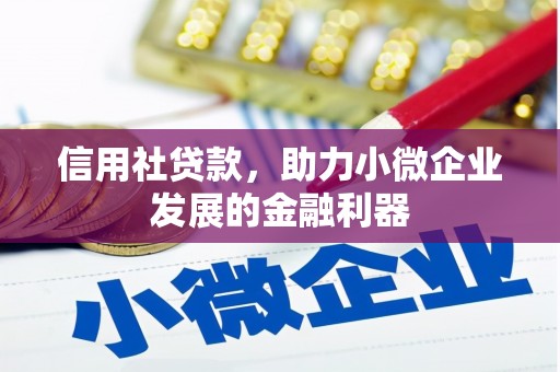 松溪信用社贷款，助力小微企业发展的金融利器