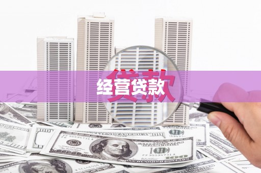 松溪经营贷款