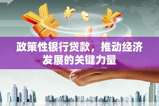 松溪政策性银行贷款，推动经济发展的关键力量