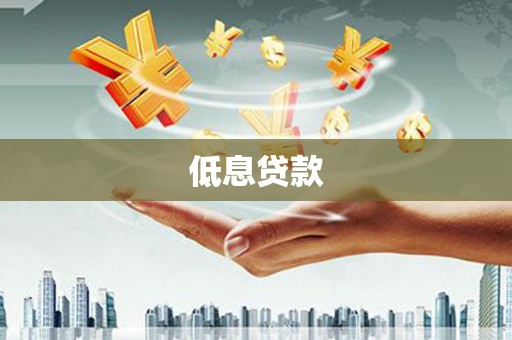 松溪低息贷款
