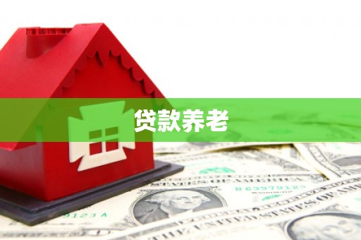 松溪贷款养老