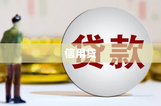 松溪信用贷