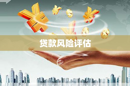 松溪贷款风险评估