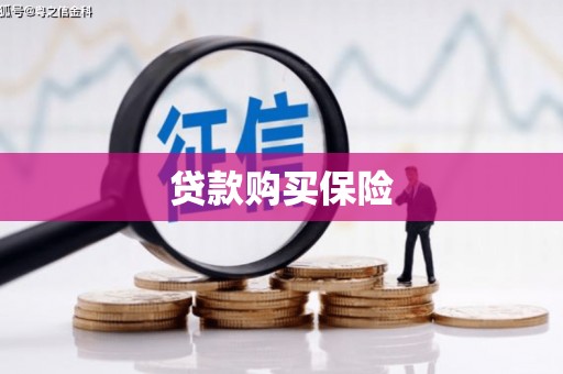 松溪贷款购买保险