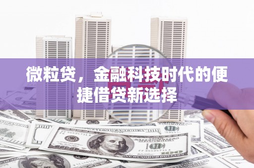 松溪微粒贷，金融科技时代的便捷借贷新选择