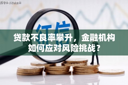 松溪贷款不良率攀升，金融机构如何应对风险挑战？