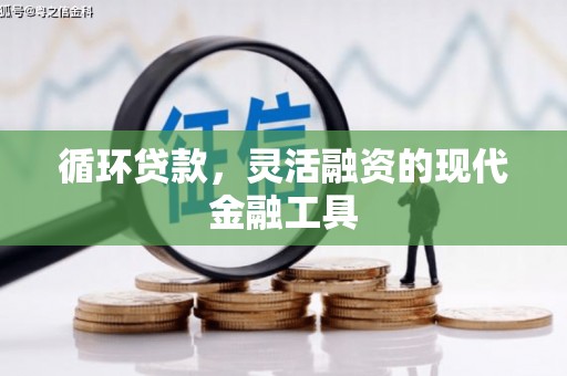 松溪循环贷款，灵活融资的现代金融工具
