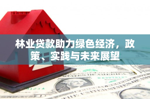 松溪林业贷款助力绿色经济，政策、实践与未来展望
