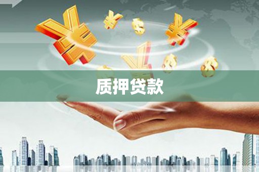 松溪质押贷款