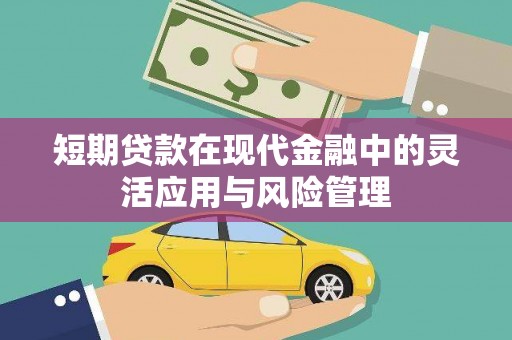 松溪短期贷款在现代金融中的灵活应用与风险管理