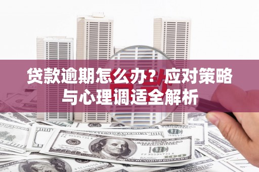 松溪贷款逾期怎么办？应对策略与心理调适全解析