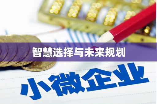 松溪智慧选择与未来规划
