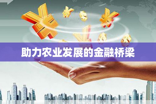 松溪助力农业发展的金融桥梁