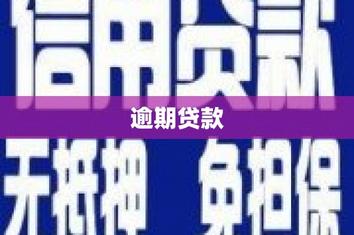 松溪逾期贷款