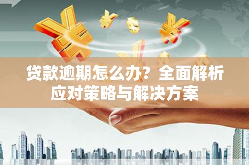 松溪贷款逾期怎么办？全面解析应对策略与解决方案