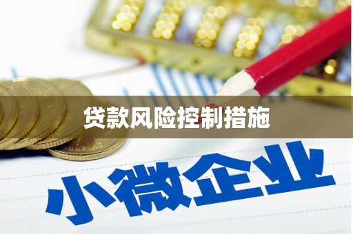松溪贷款风险控制措施
