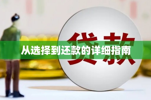 松溪从选择到还款的详细指南