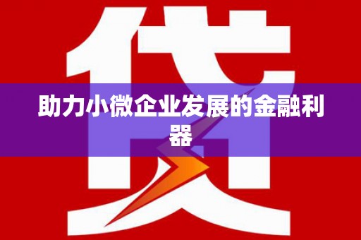 松溪助力小微企业发展的金融利器