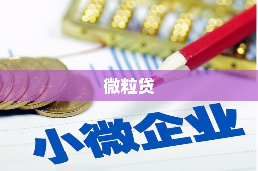 松溪微粒贷