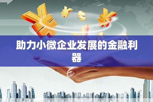 松溪助力小微企业发展的金融利器