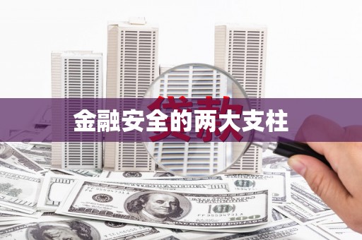松溪金融安全的两大支柱