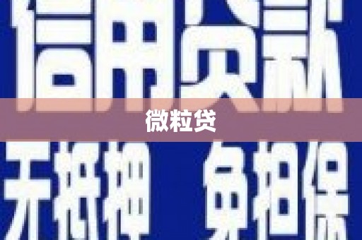 松溪微粒贷
