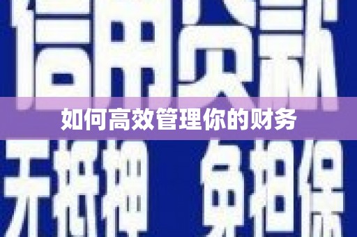 松溪如何高效管理你的财务