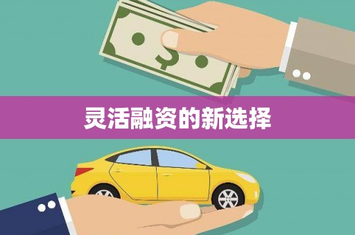松溪灵活融资的新选择