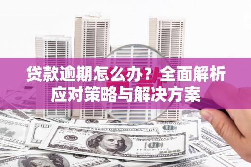 松溪贷款逾期怎么办？全面解析应对策略与解决方案