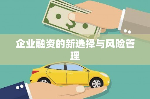 松溪企业融资的新选择与风险管理