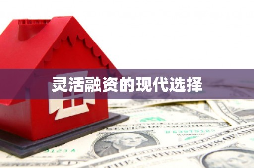 松溪灵活融资的现代选择