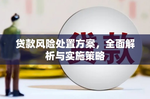 松溪贷款风险处置方案，全面解析与实施策略