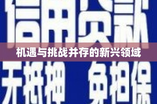 松溪机遇与挑战并存的新兴领域