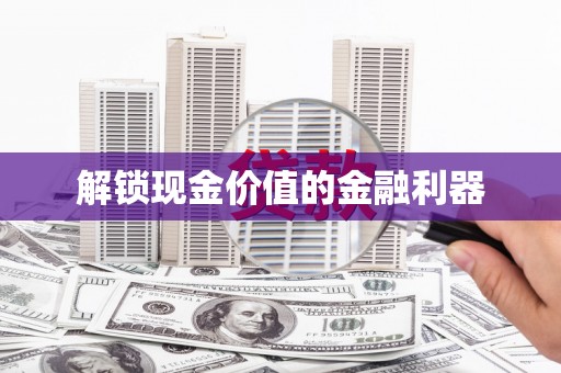 松溪解锁现金价值的金融利器