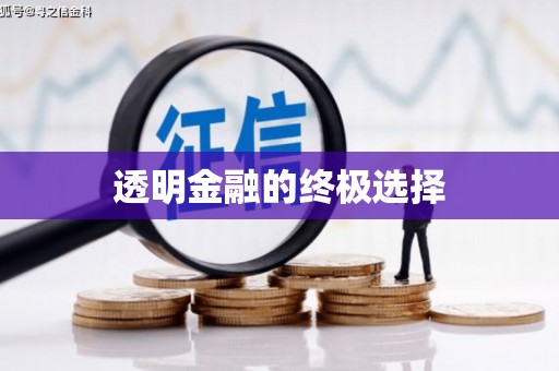 松溪透明金融的终极选择