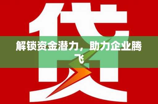 松溪解锁资金潜力，助力企业腾飞