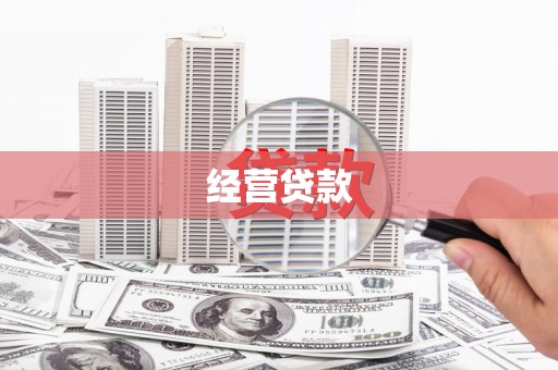 松溪经营贷款