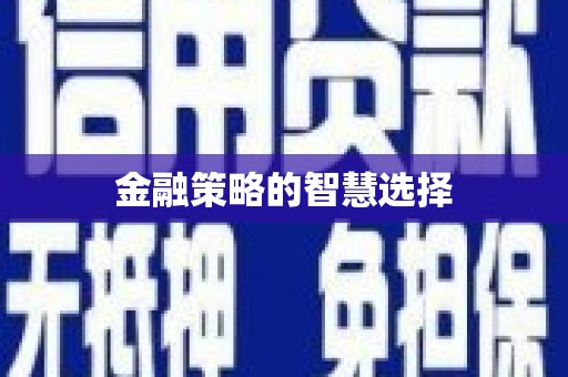 松溪金融策略的智慧选择