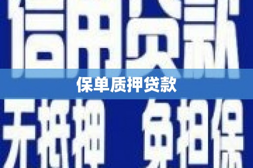 松溪保单质押贷款
