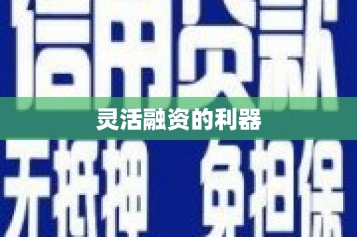 松溪灵活融资的利器