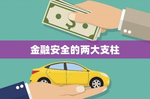松溪金融安全的两大支柱