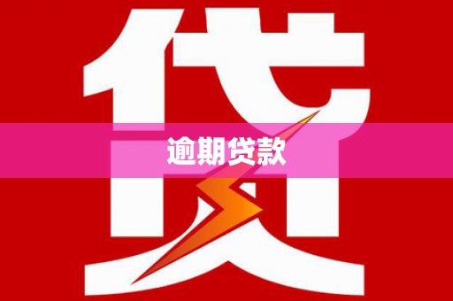 松溪逾期贷款