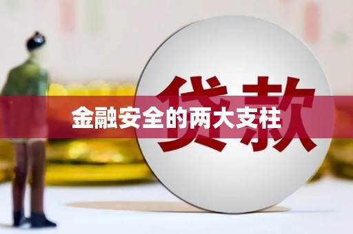 松溪金融安全的两大支柱