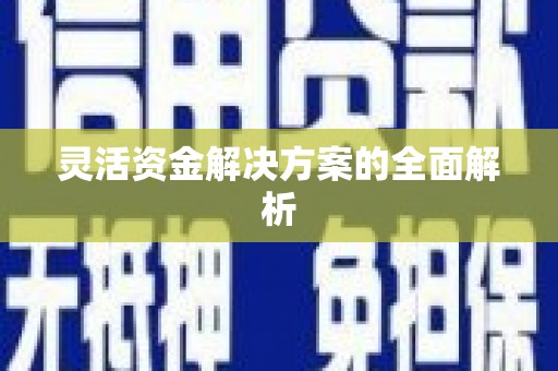 松溪灵活资金解决方案的全面解析